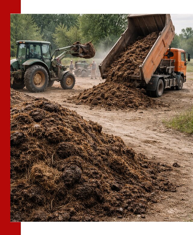 Доставка навоза самосвалами в Вятских Поляне для сельхозпотребностей